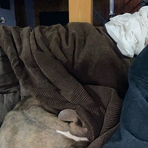 Meet your Posher, Kenneth